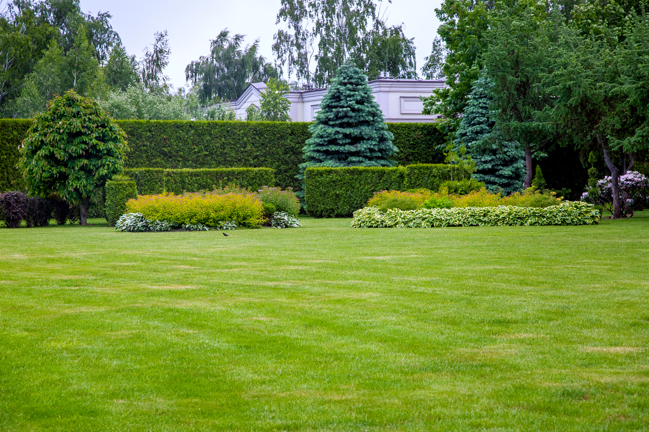 Power Raking by Chips Clips Lawncare MN